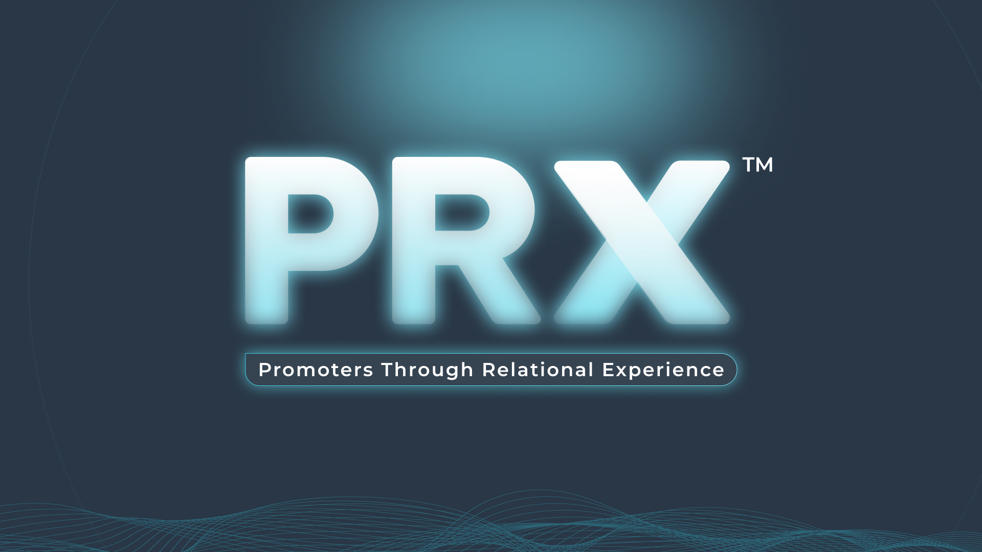 NPS et CSAT ne suffisent pas : comment le PRX™ a réduit le churn de 28 %